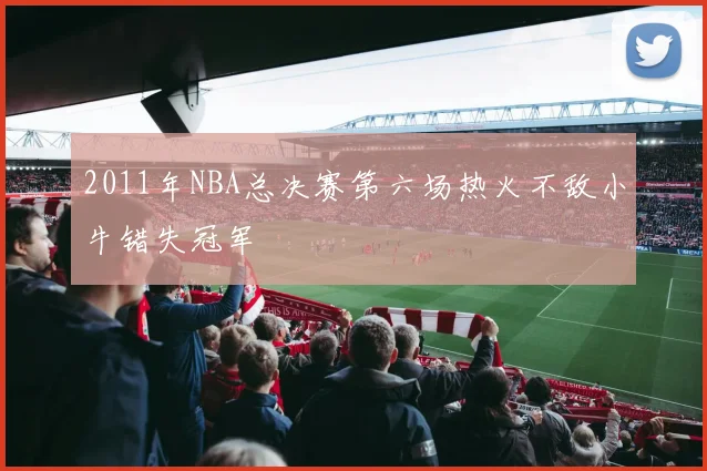 2011年NBA总决赛第六场热火不敌小牛错失冠军