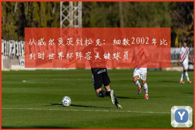从威尔莫茨到松克：细数2002年比利时世界杯阵容关键球员